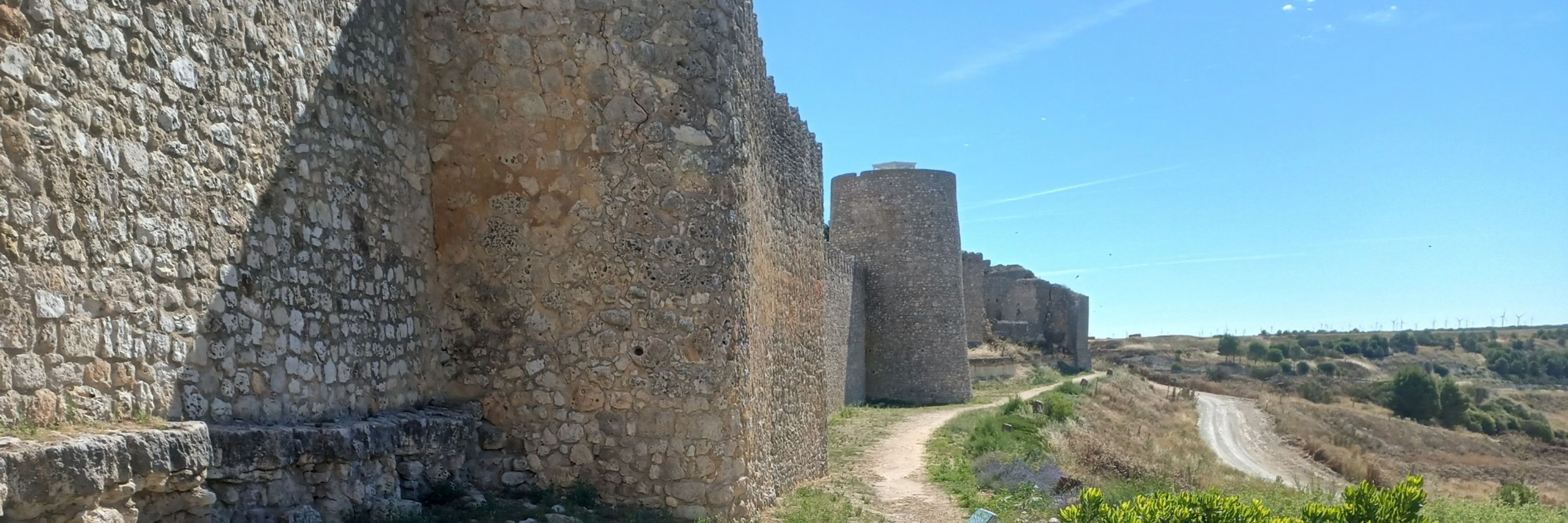 Cesare