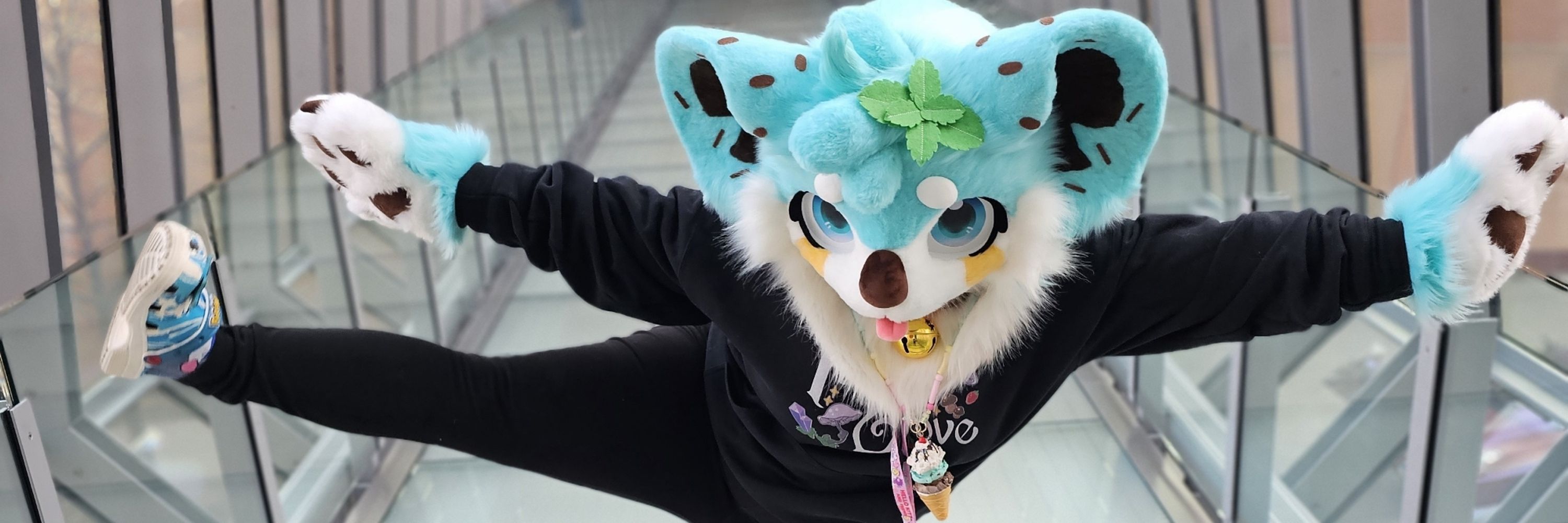 Mini the Koala