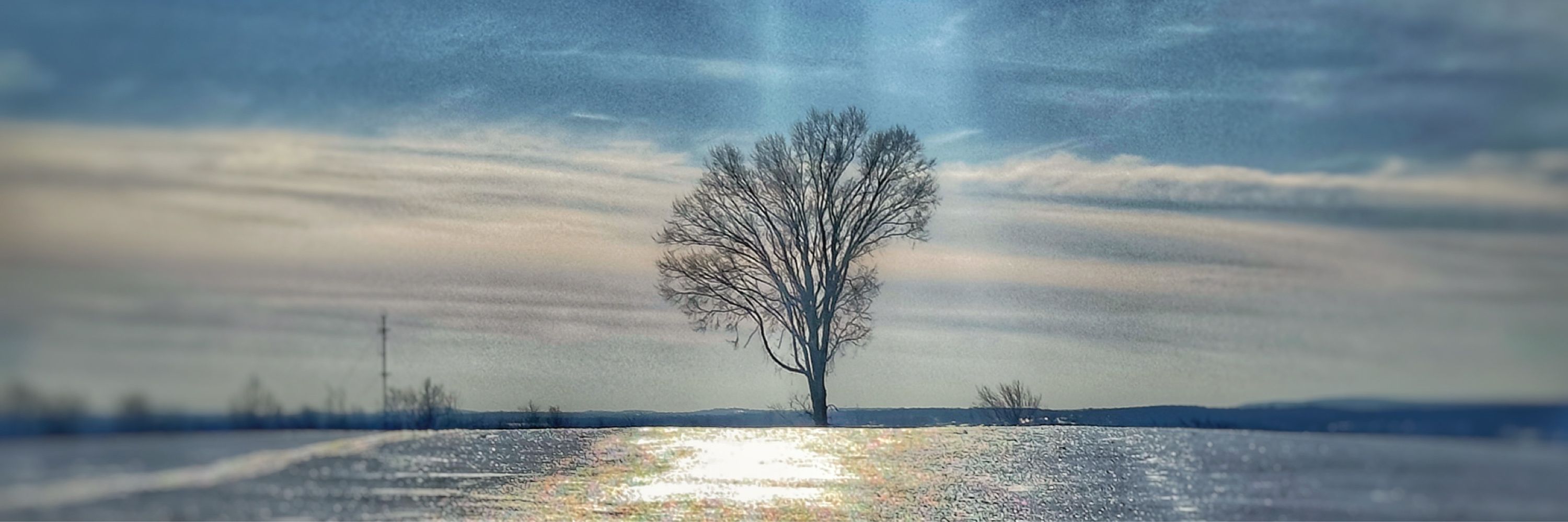 Michelle Lee Photography