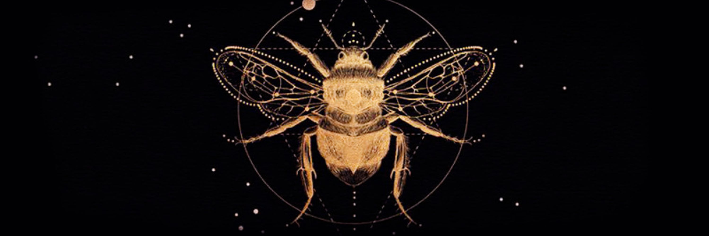 queenslayerbee