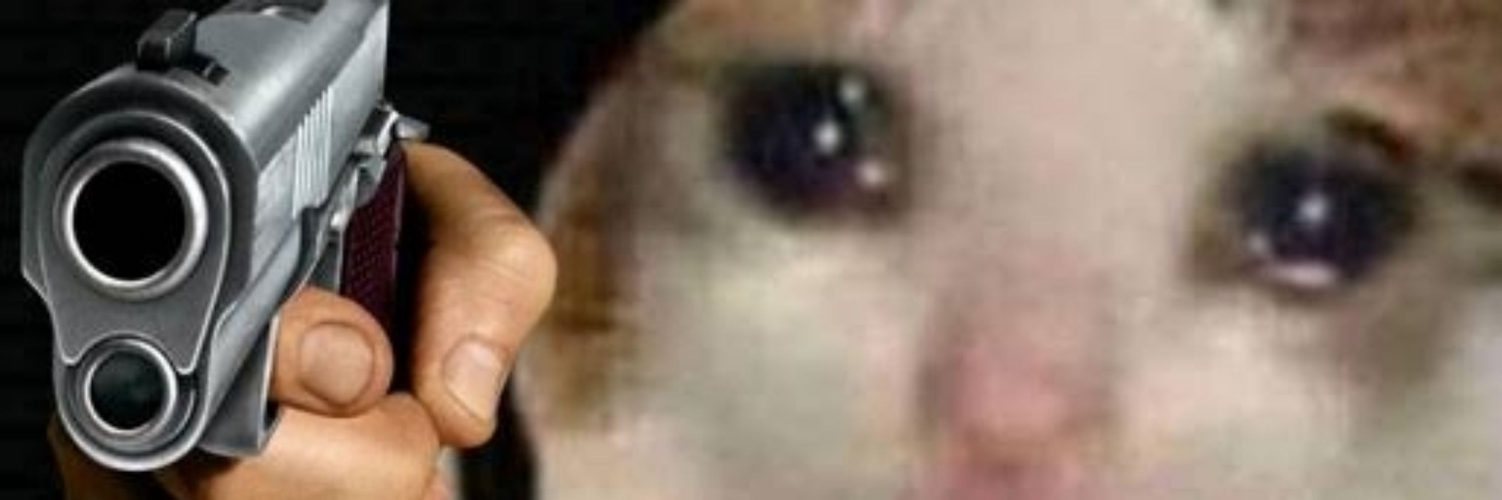 Tamo ai