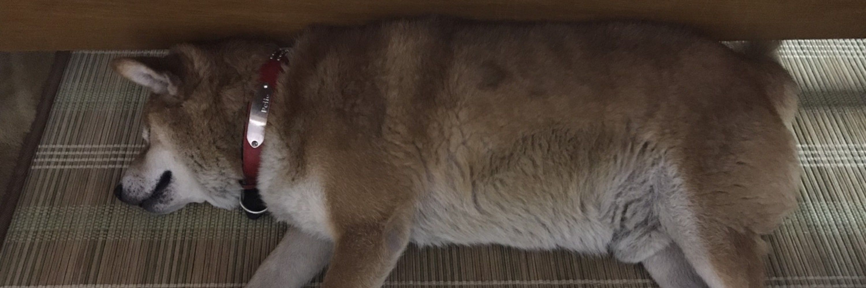 こーちょす