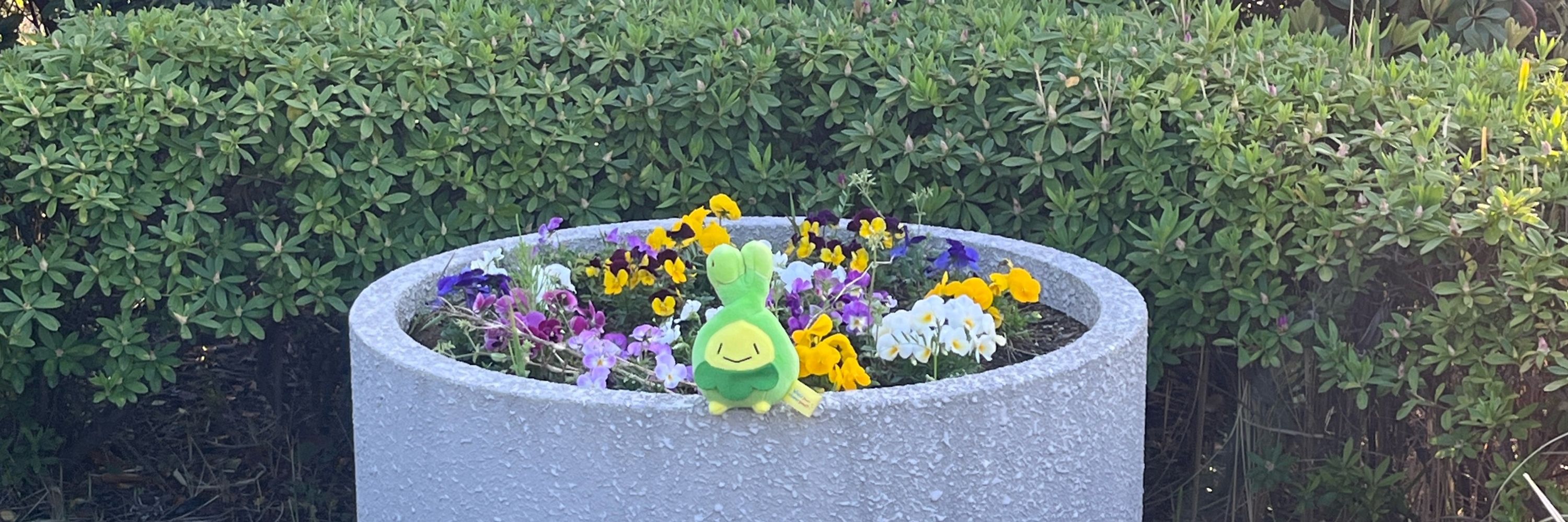 あめ