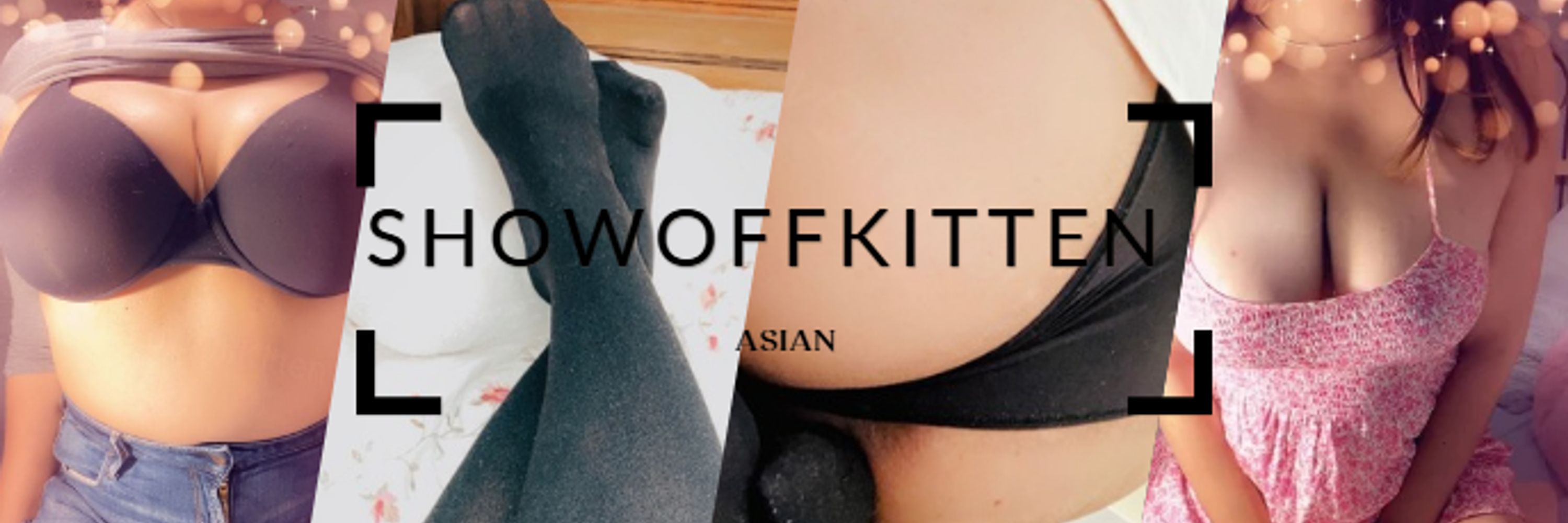 ShowOffKitten