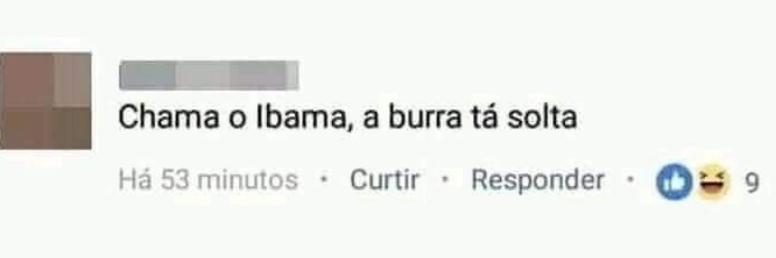meu diário.