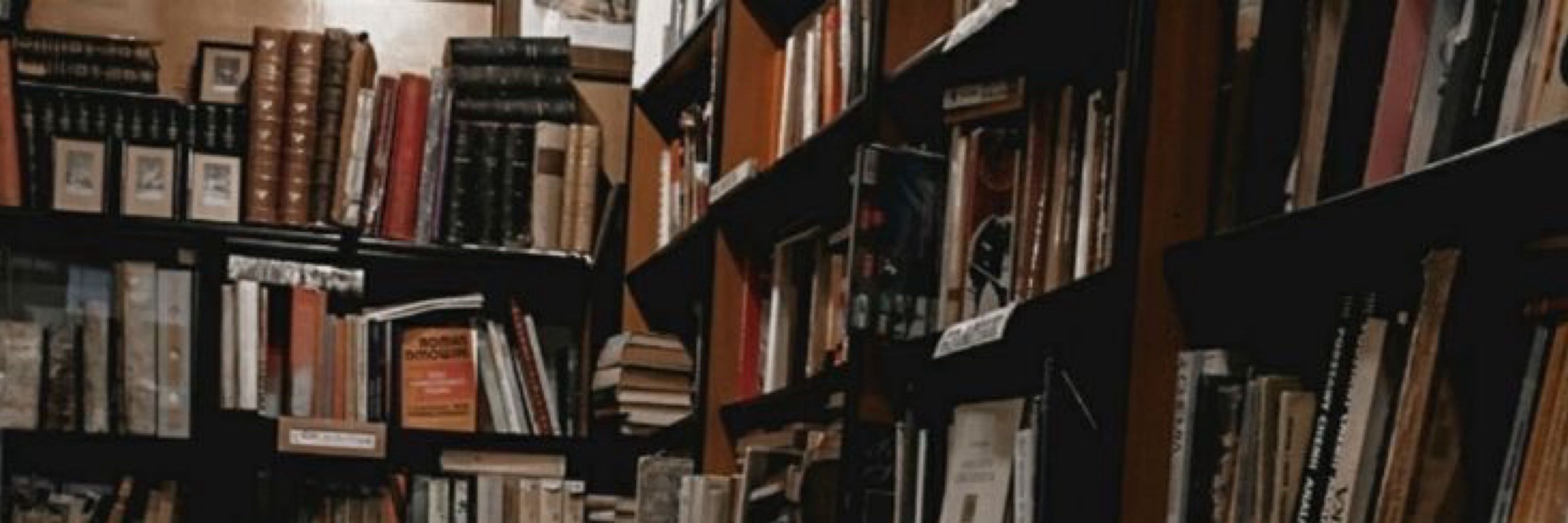 mai | 📖: a maldição do ex