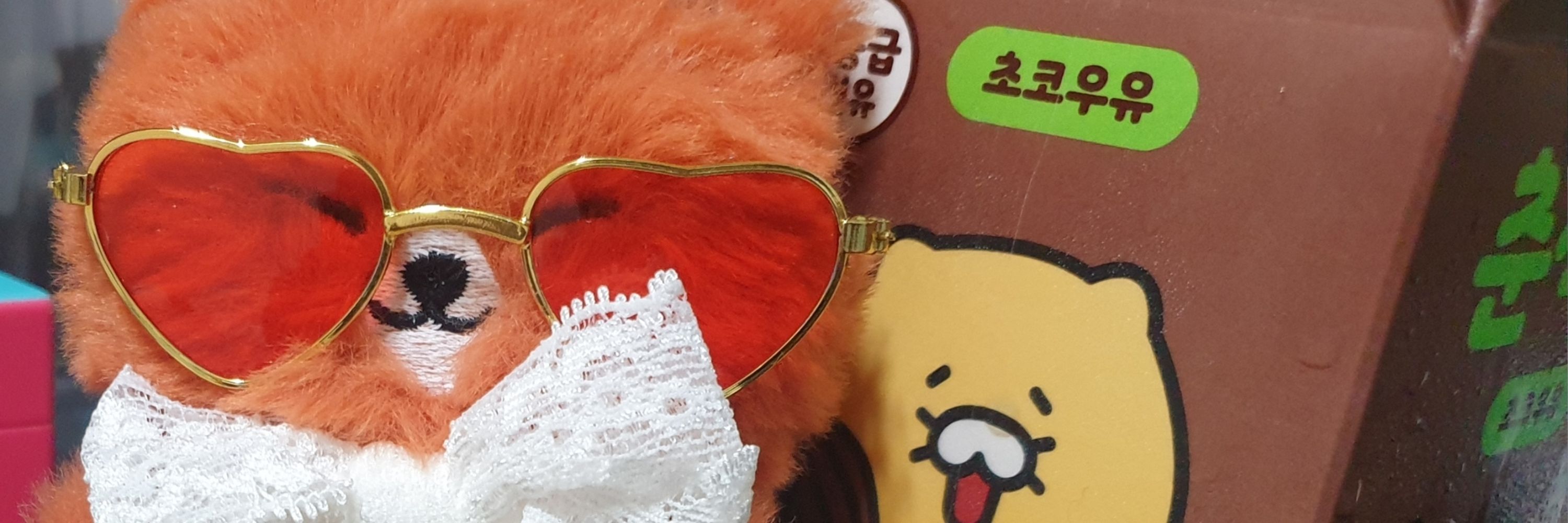 🦊🍀 입사