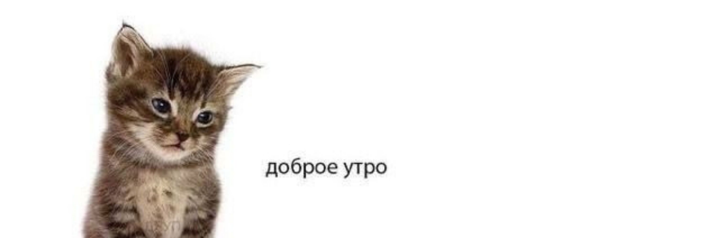 mfhfgt 👾