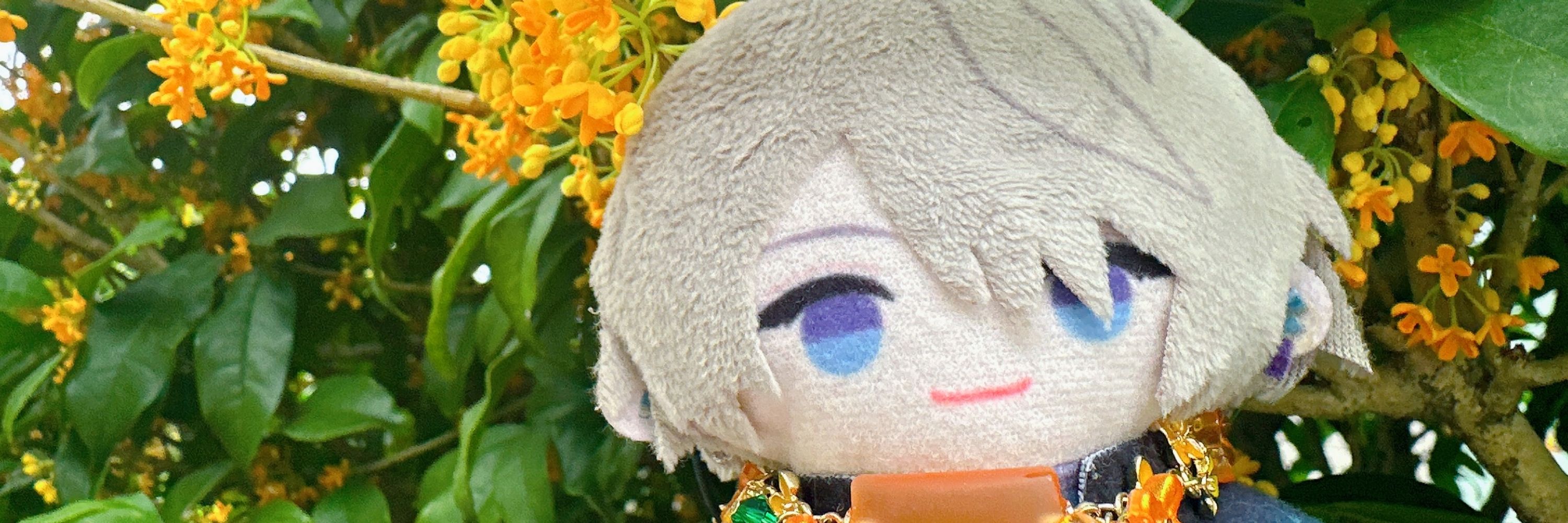 さくも