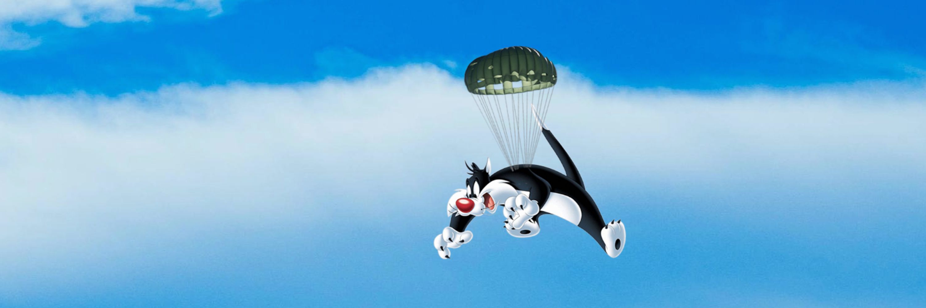 SylvesterSkyCat