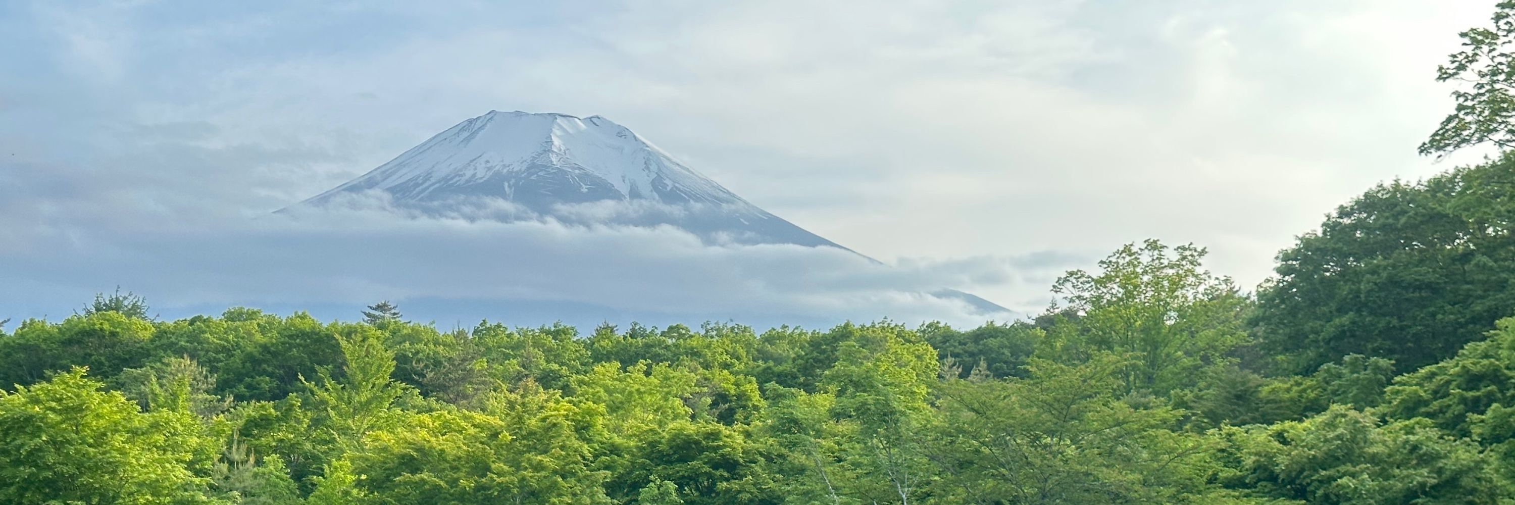 ayasato