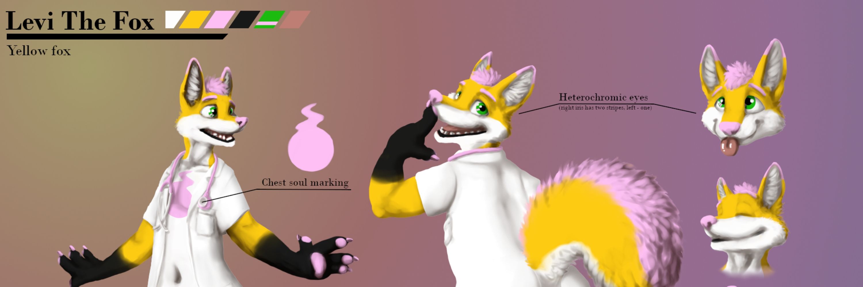 Levi The Fox