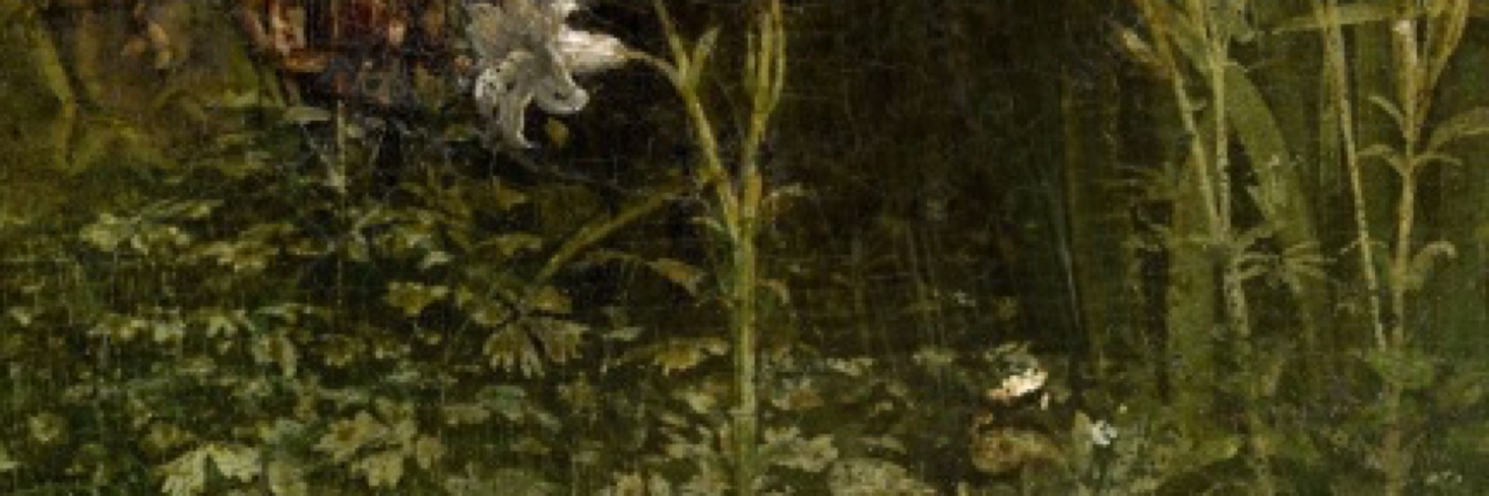 meadow