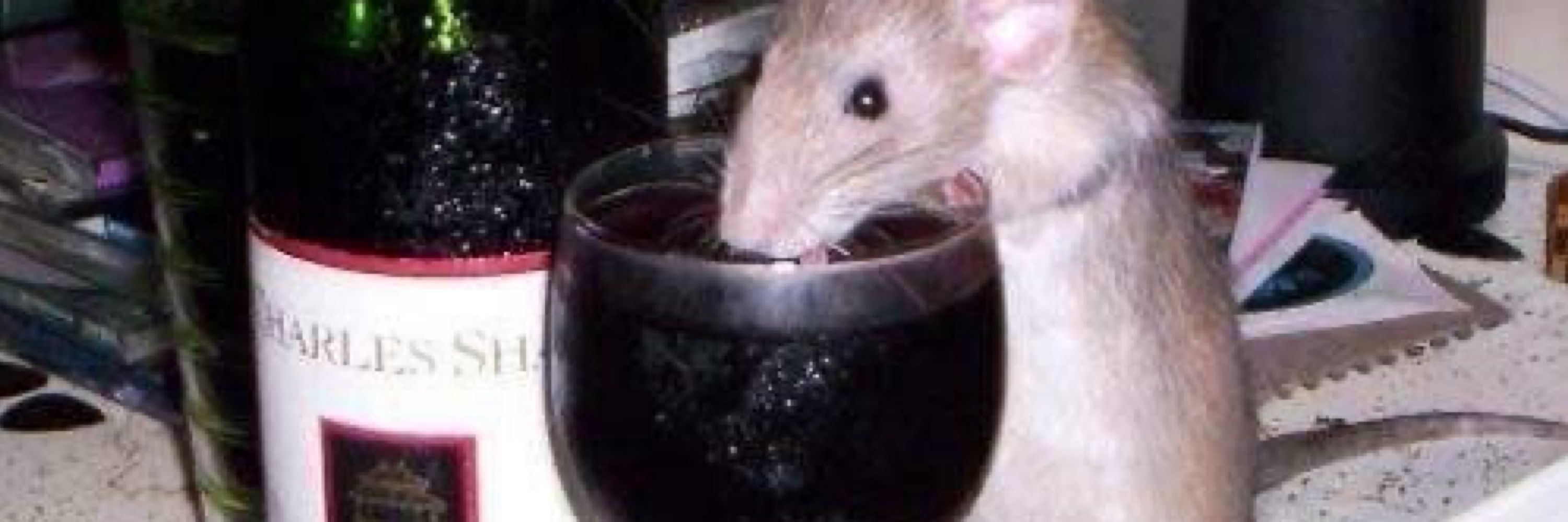 jeni