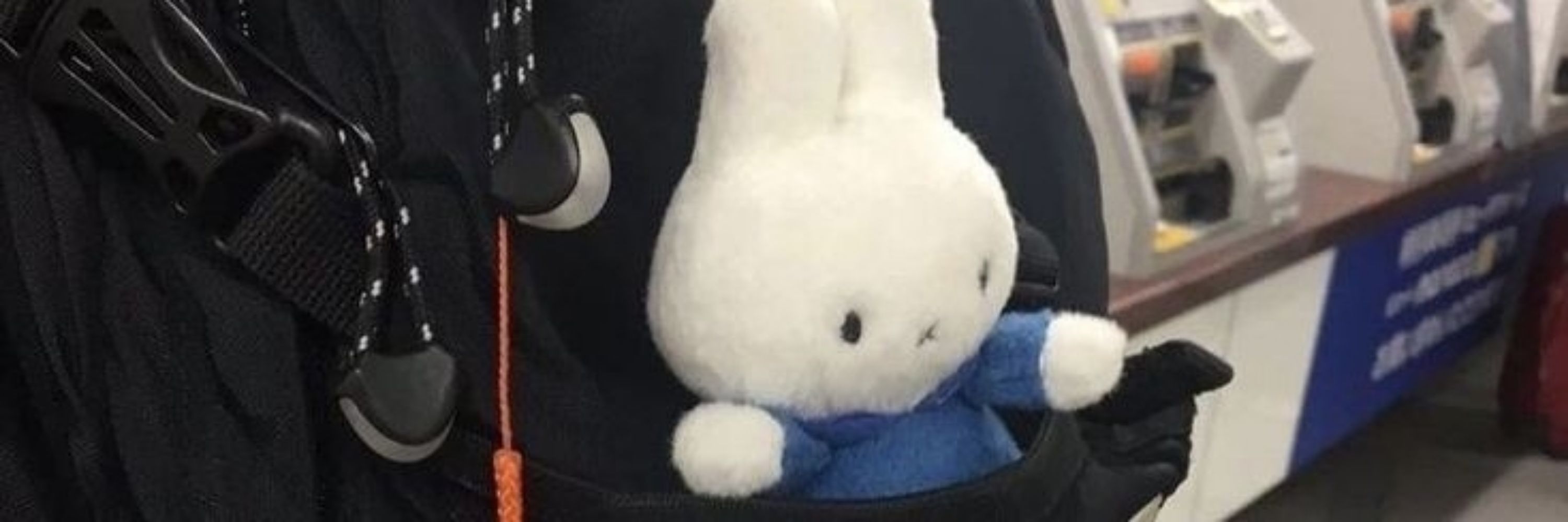 vivi