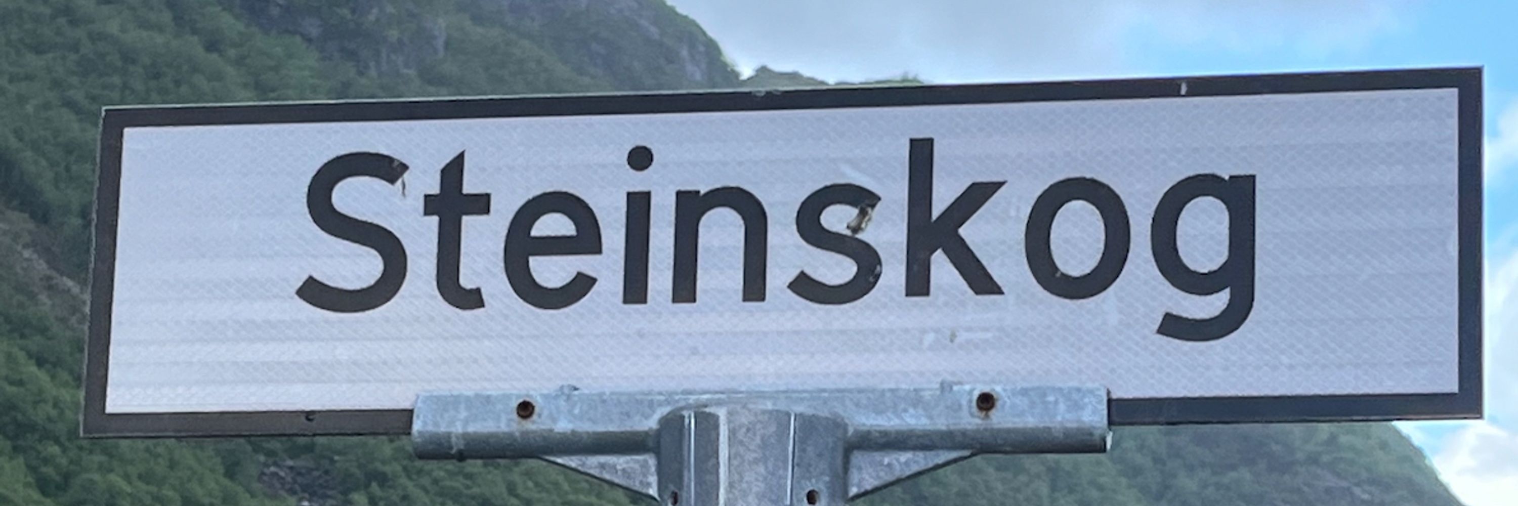 Erik Steinskog
