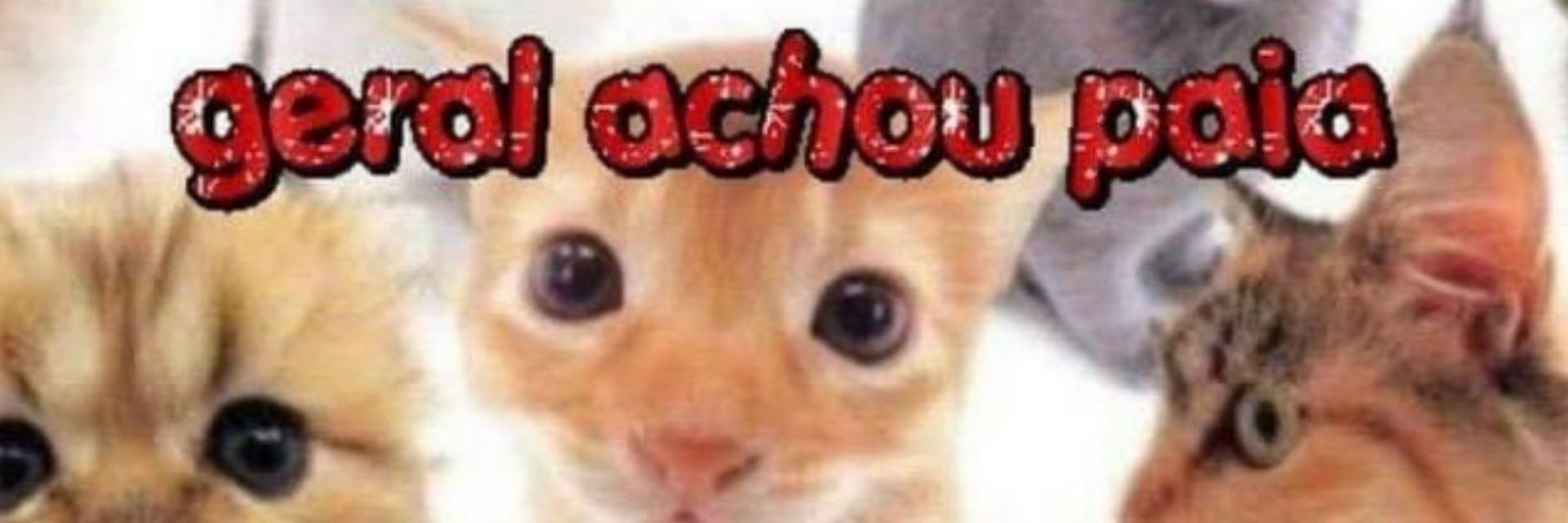 só flávia aqui também 