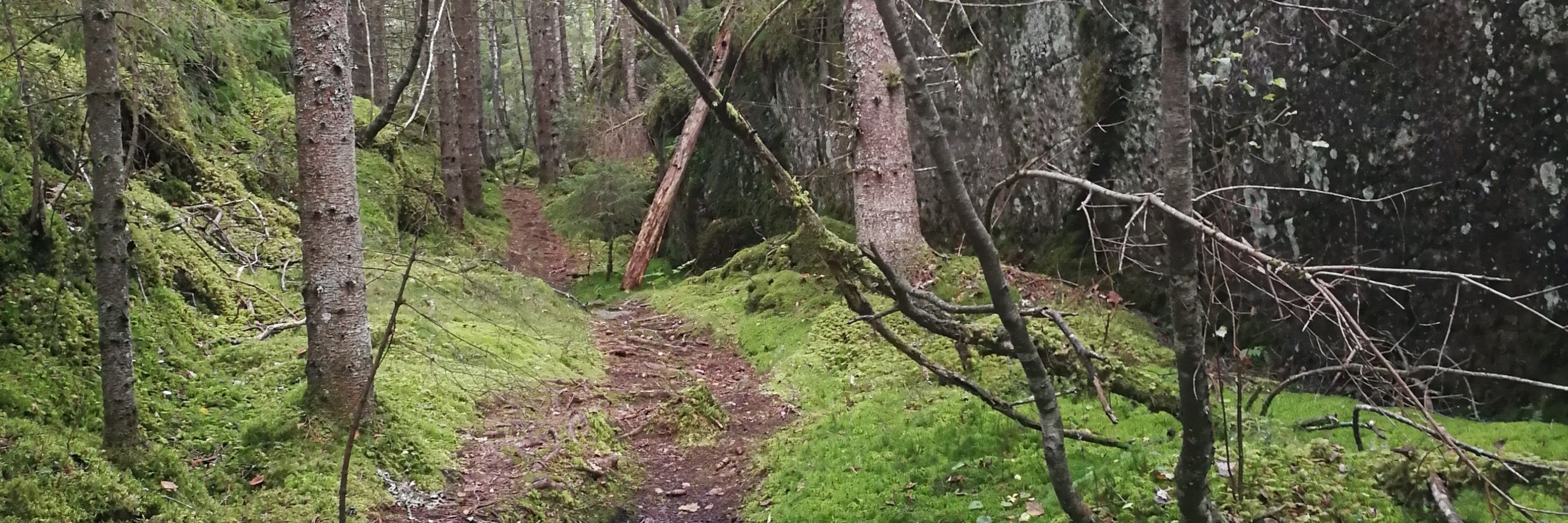 Torbjørg Jevnaker