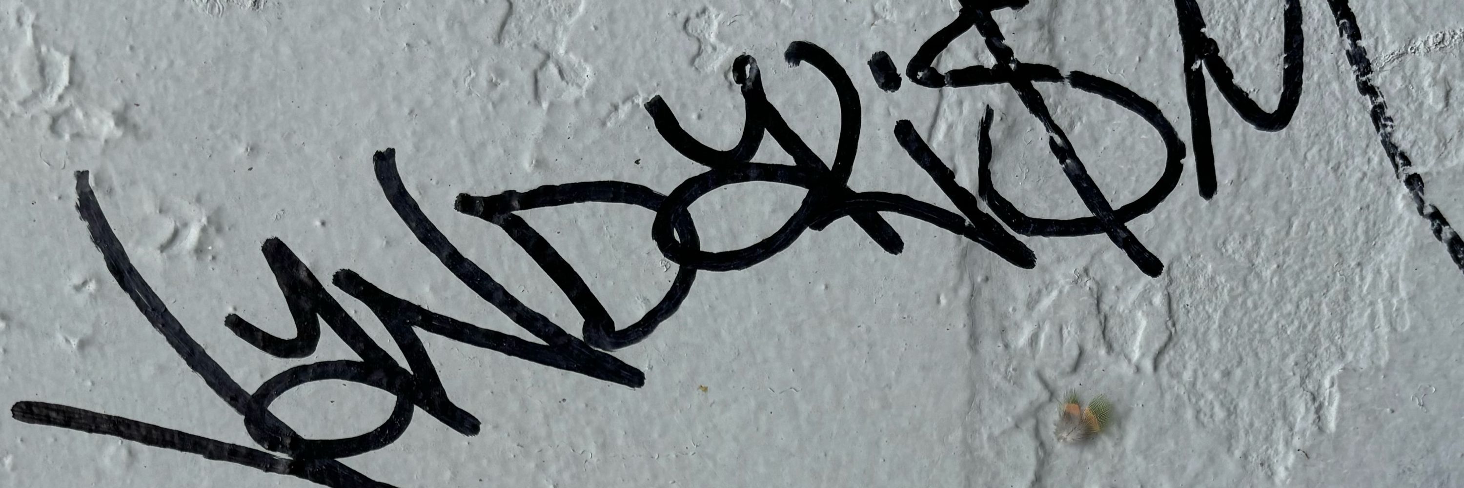 Andrew