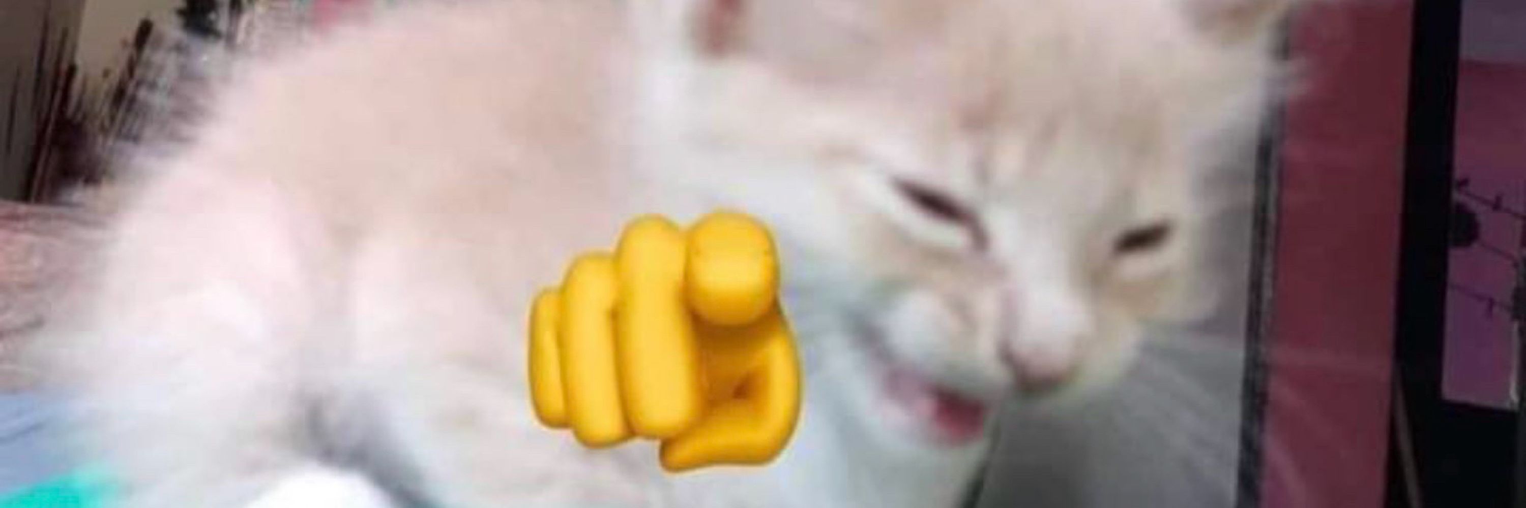 gwace