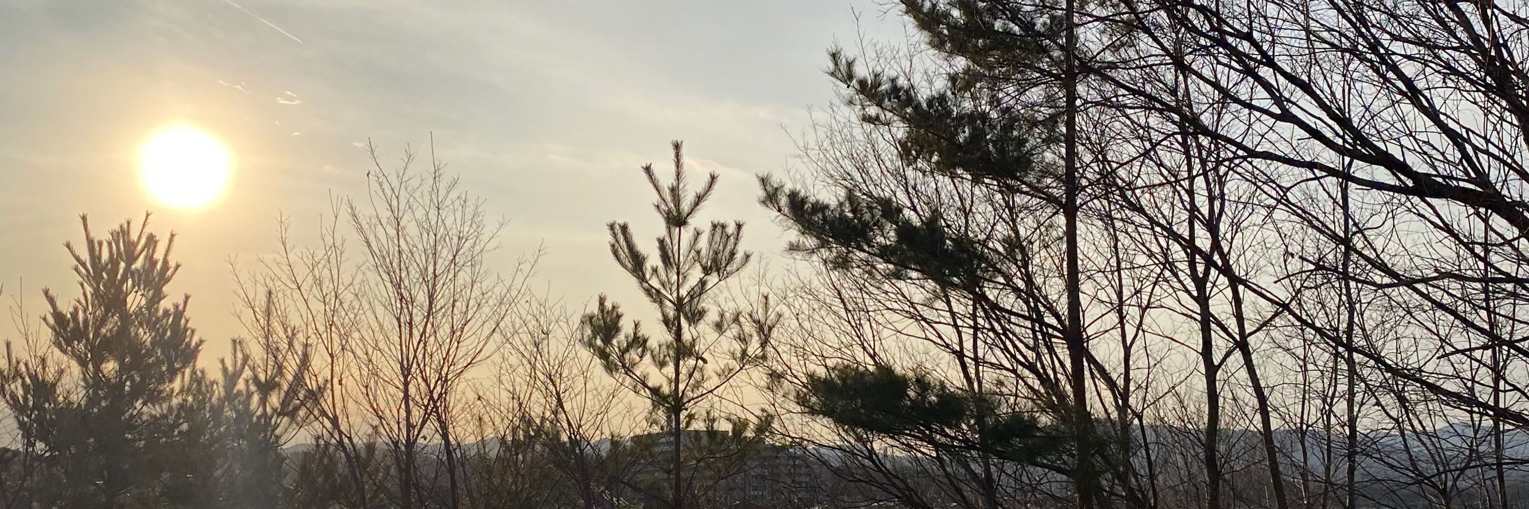 湯