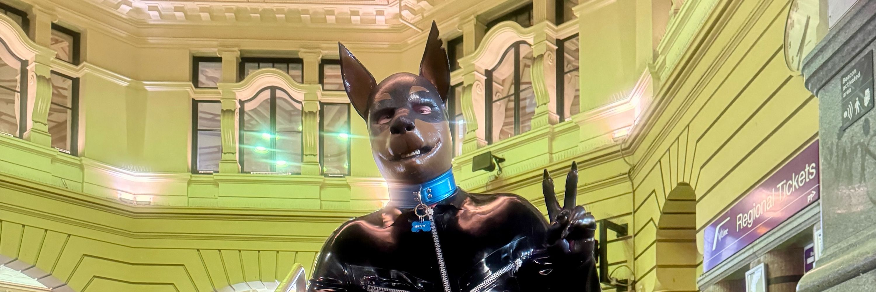 Latexmutt
