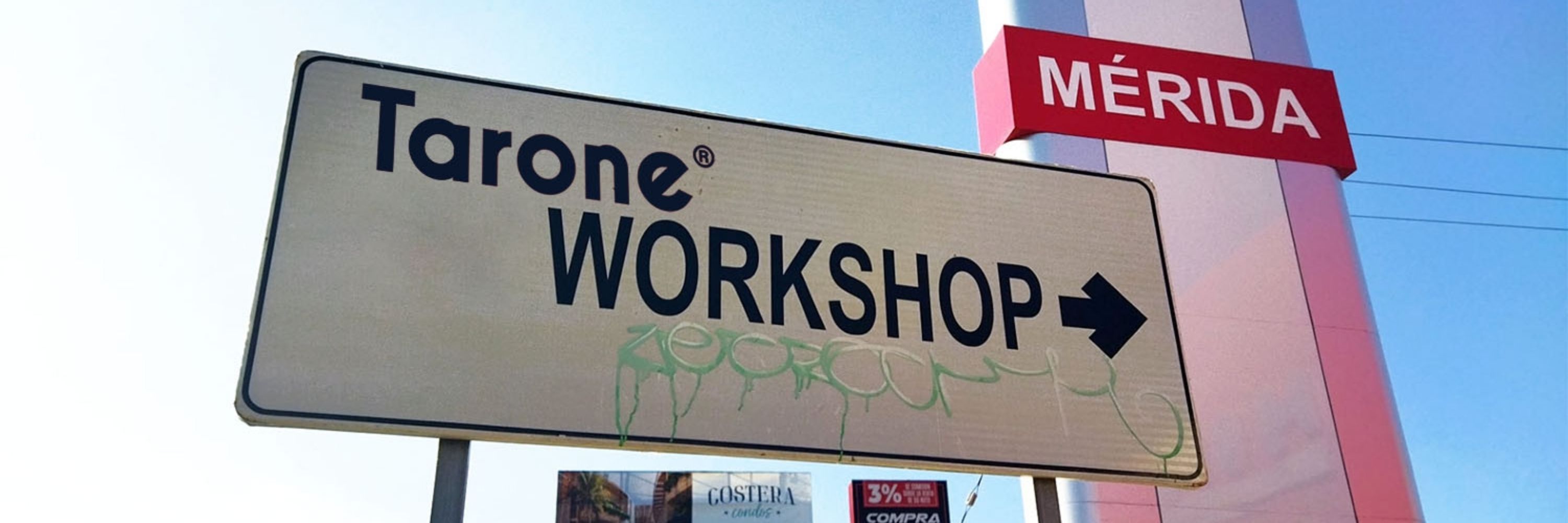 TARONE WORKSHOP 
