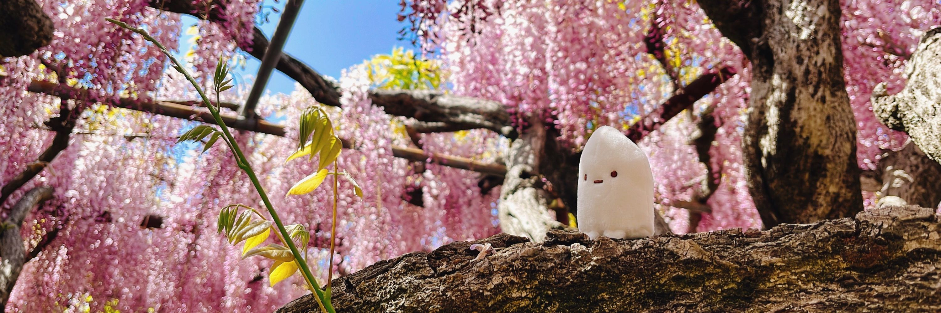 こめ辺