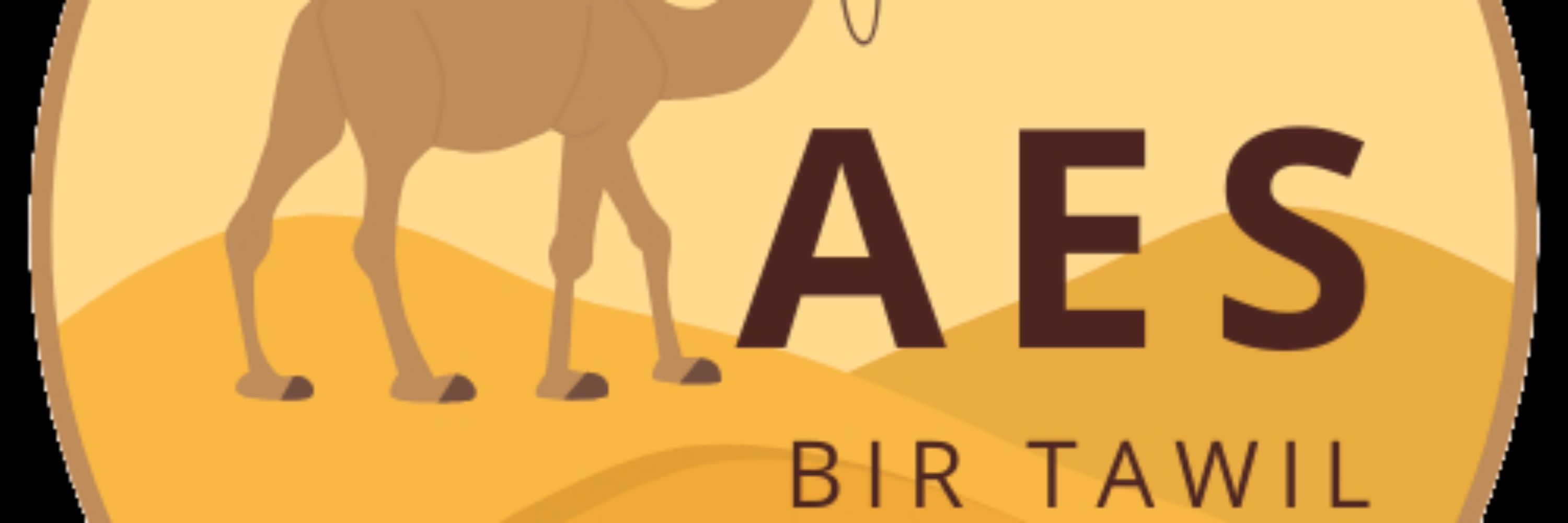AES Bir Tawil