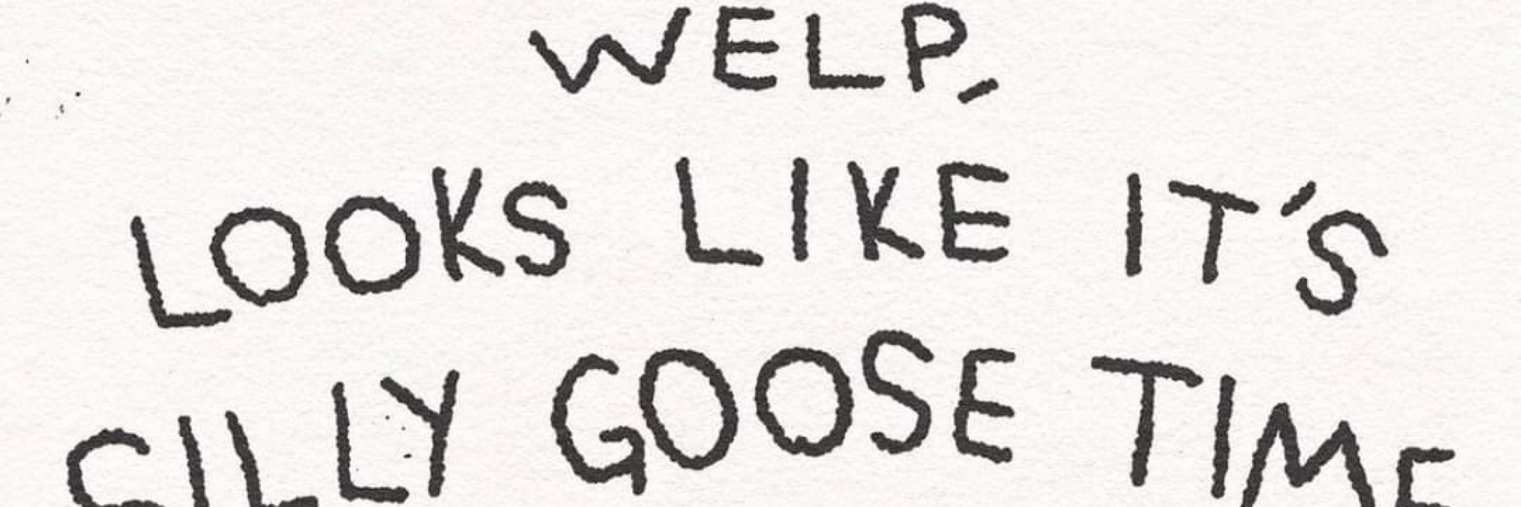 Idontthinksosir