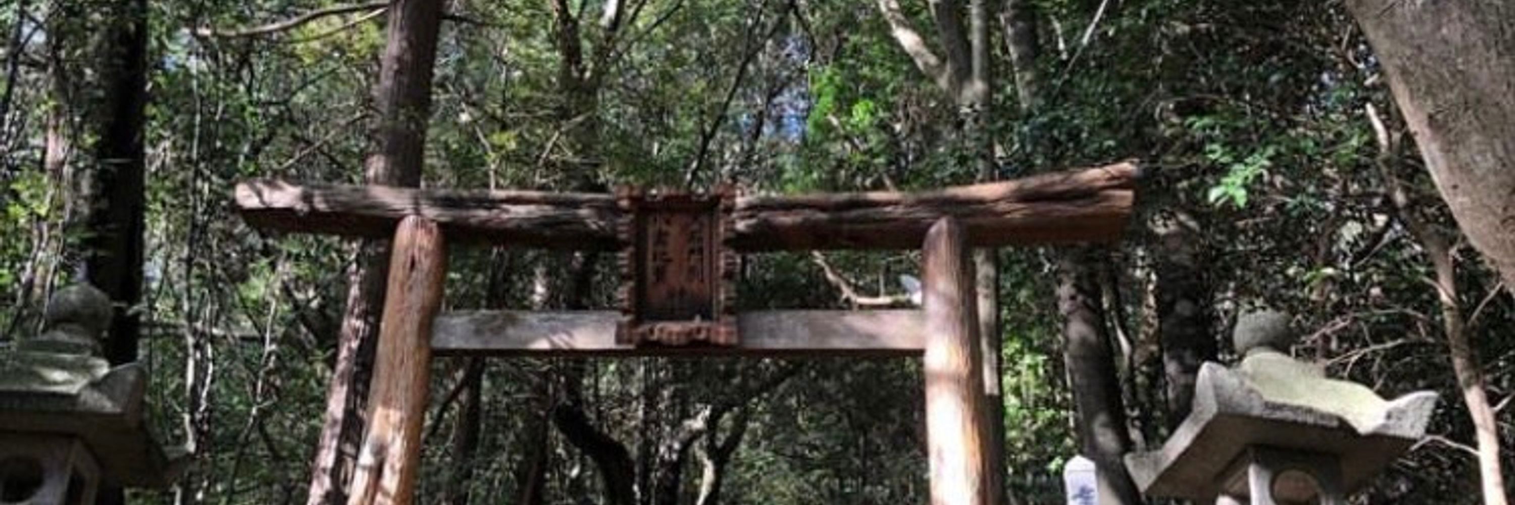 渡辺アキオ