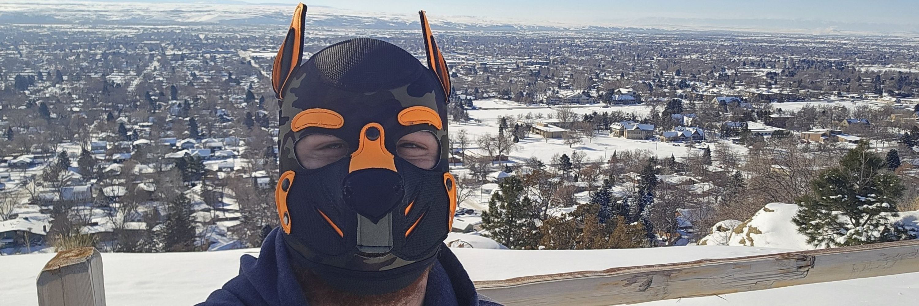 PupBullet