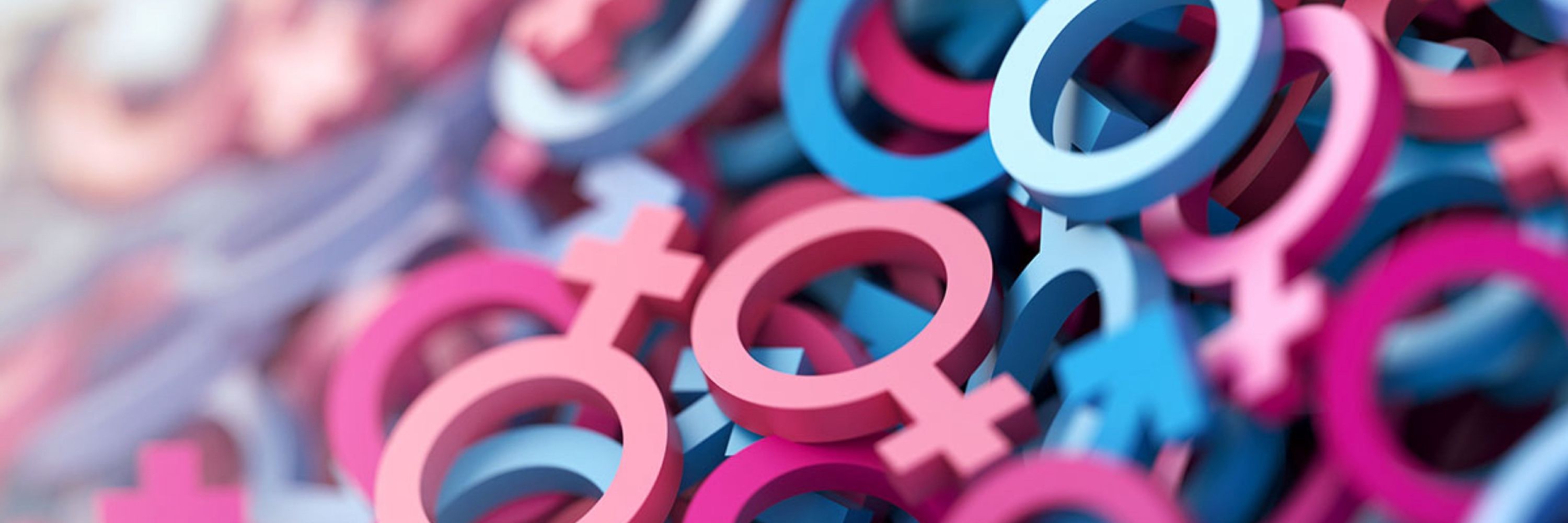 La Compagnia del Gender 🏳️‍🌈🏳️‍⚧️