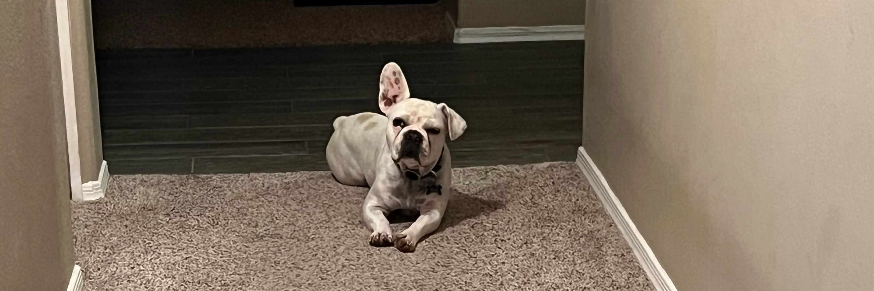 Gus’s Mom