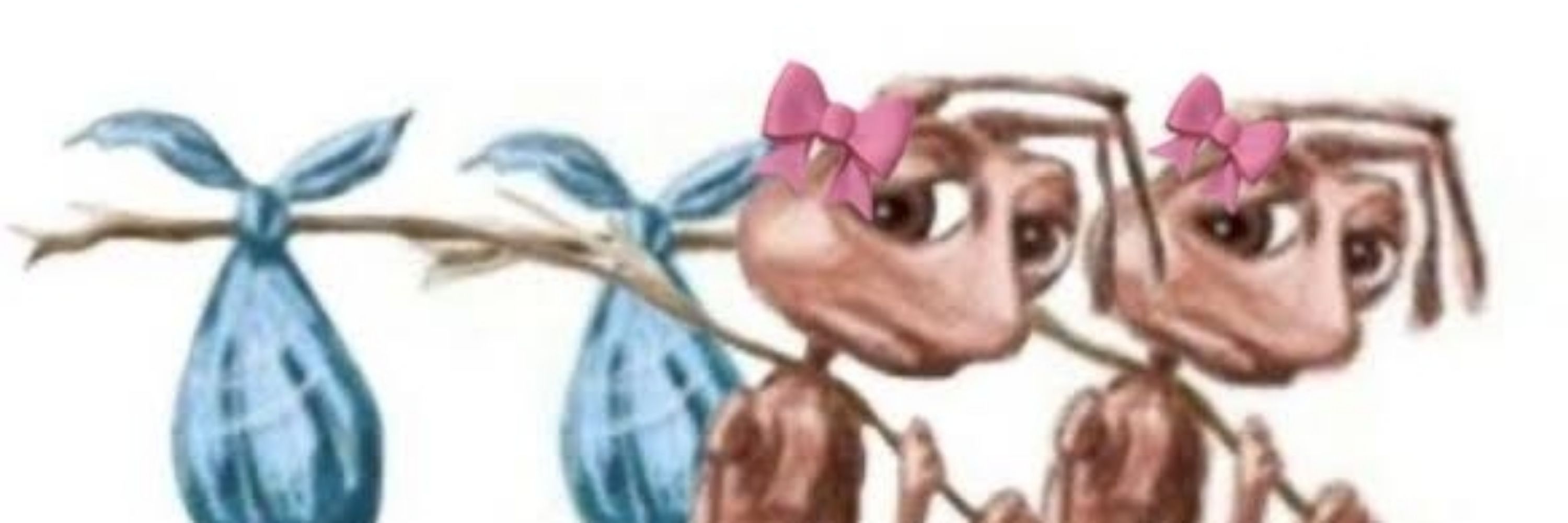 bella orfã do twitter