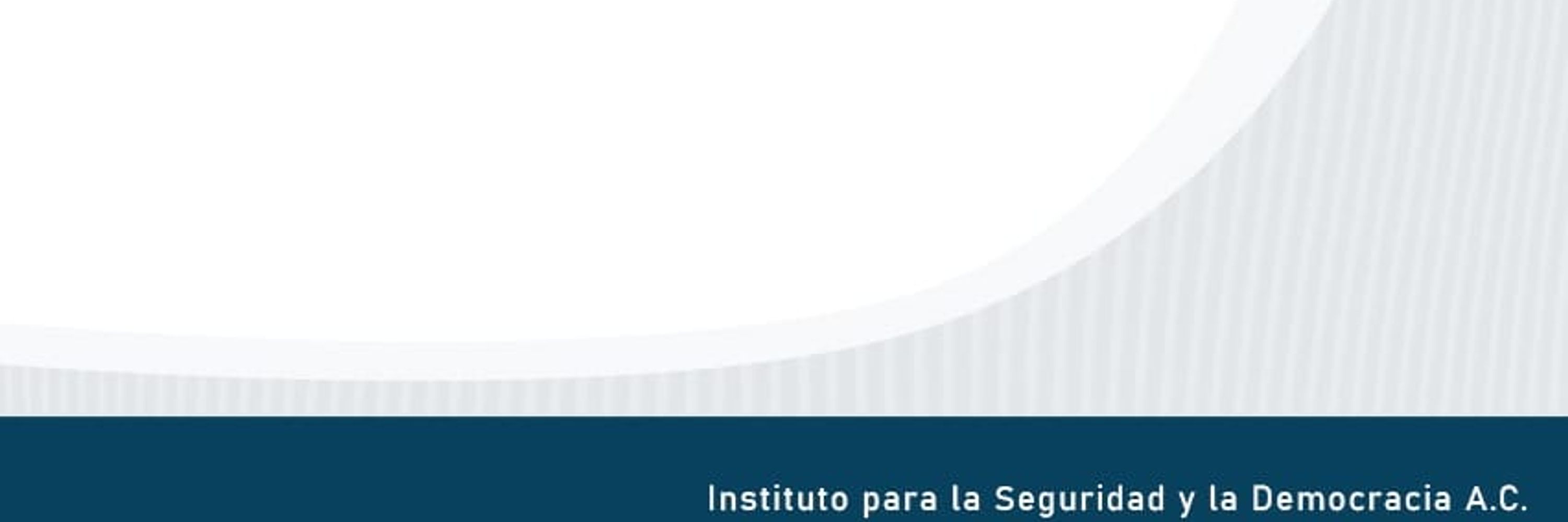 INSYDE - Instituto para la Seguridad y la Democracia