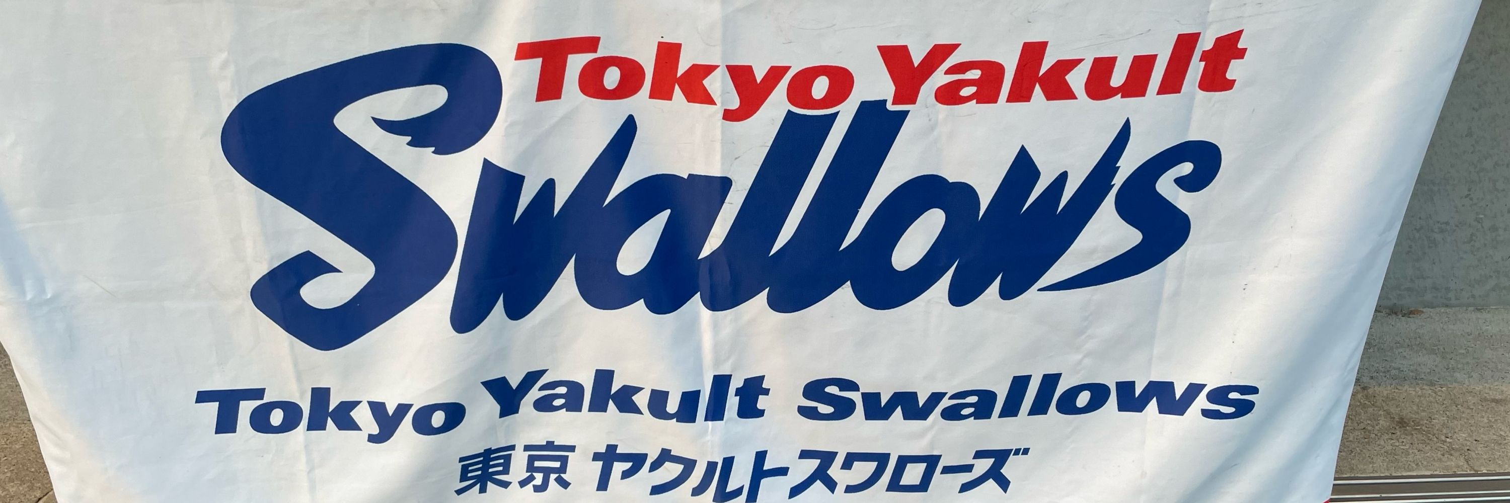 青木世代の軟式球児