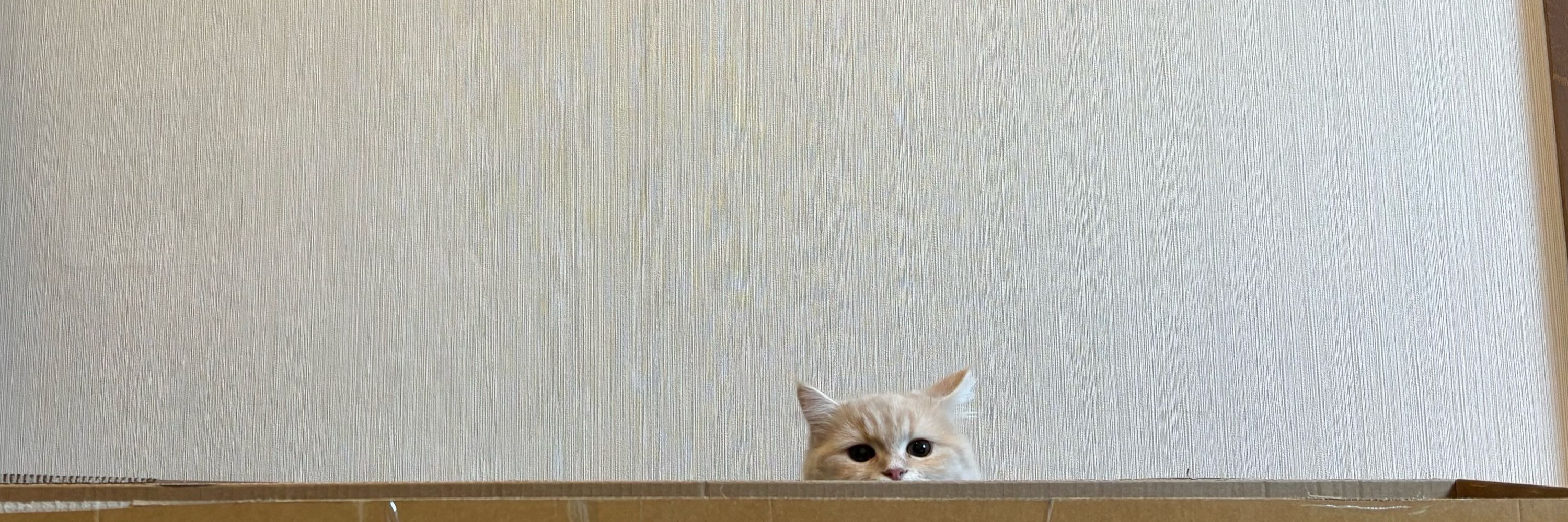 おと