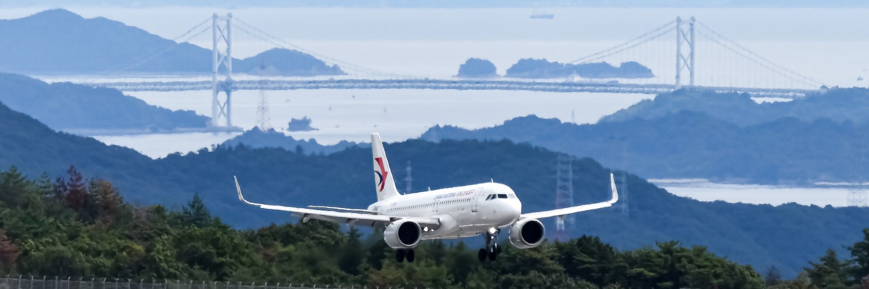 よっしー