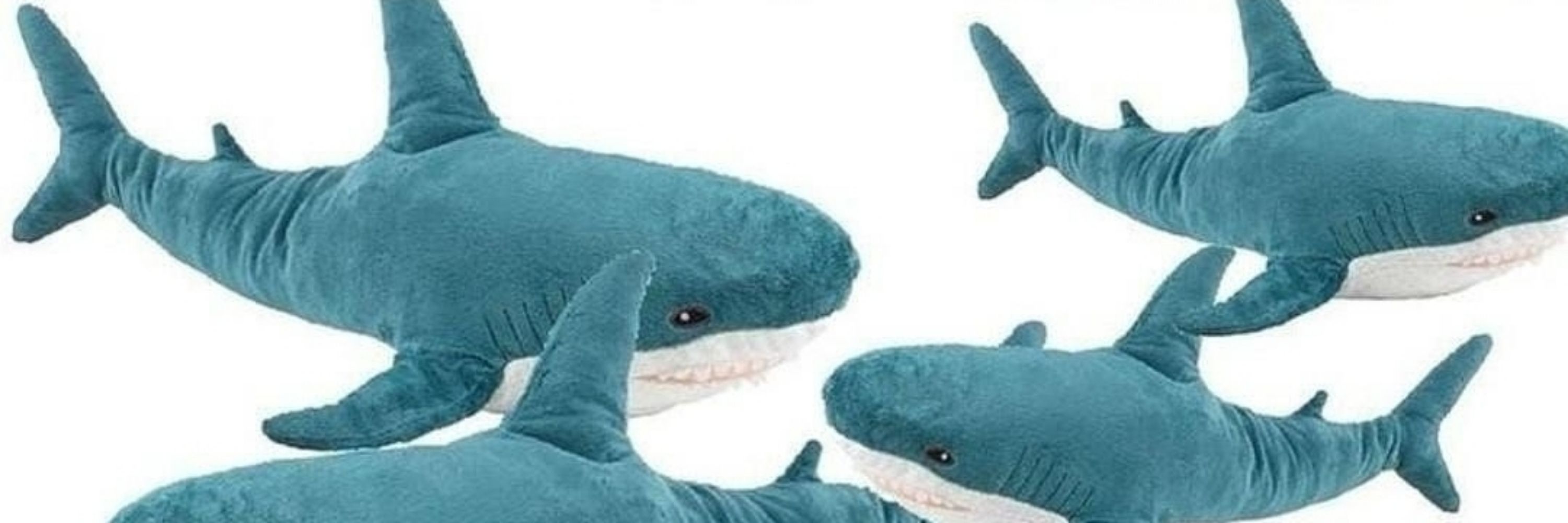 Lily (Avid Shark Lover)
