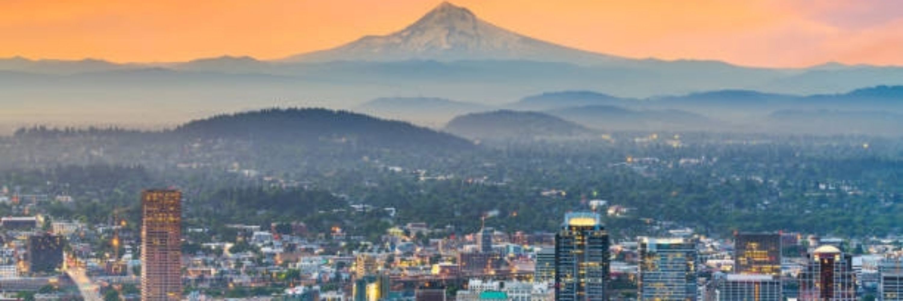 PdxRose