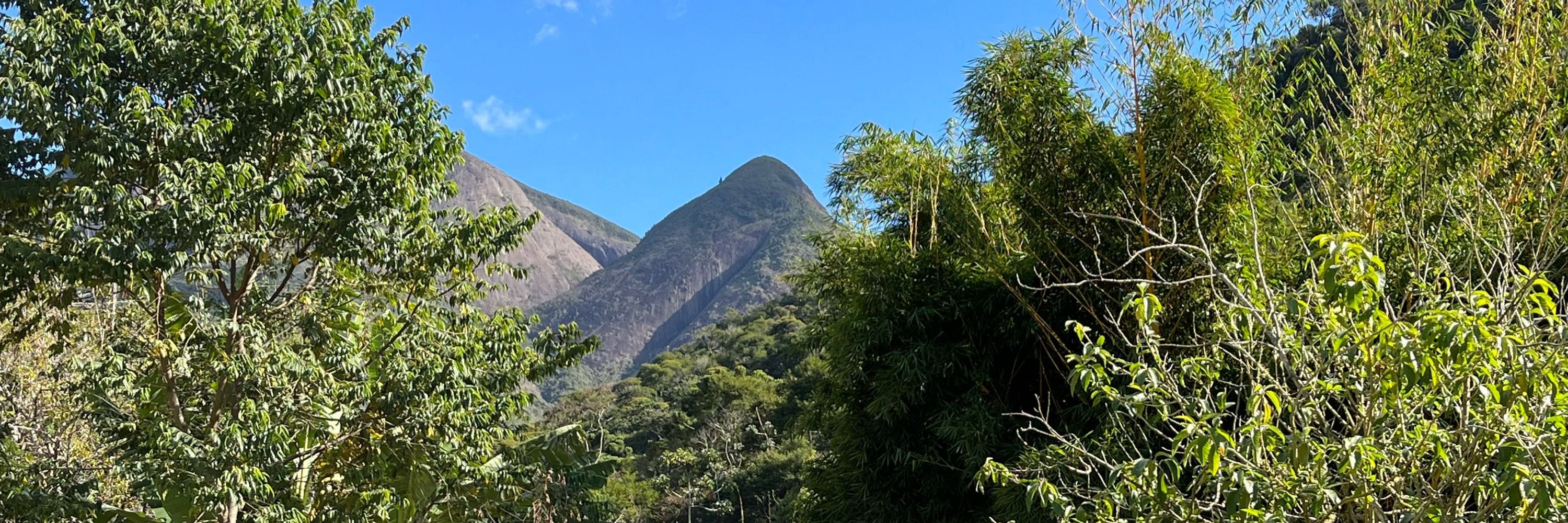 Júlinha 