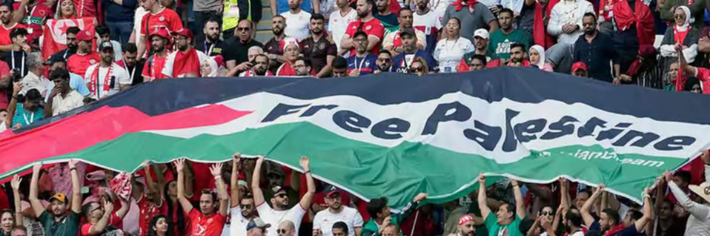 tony_revsoc 🇵🇸