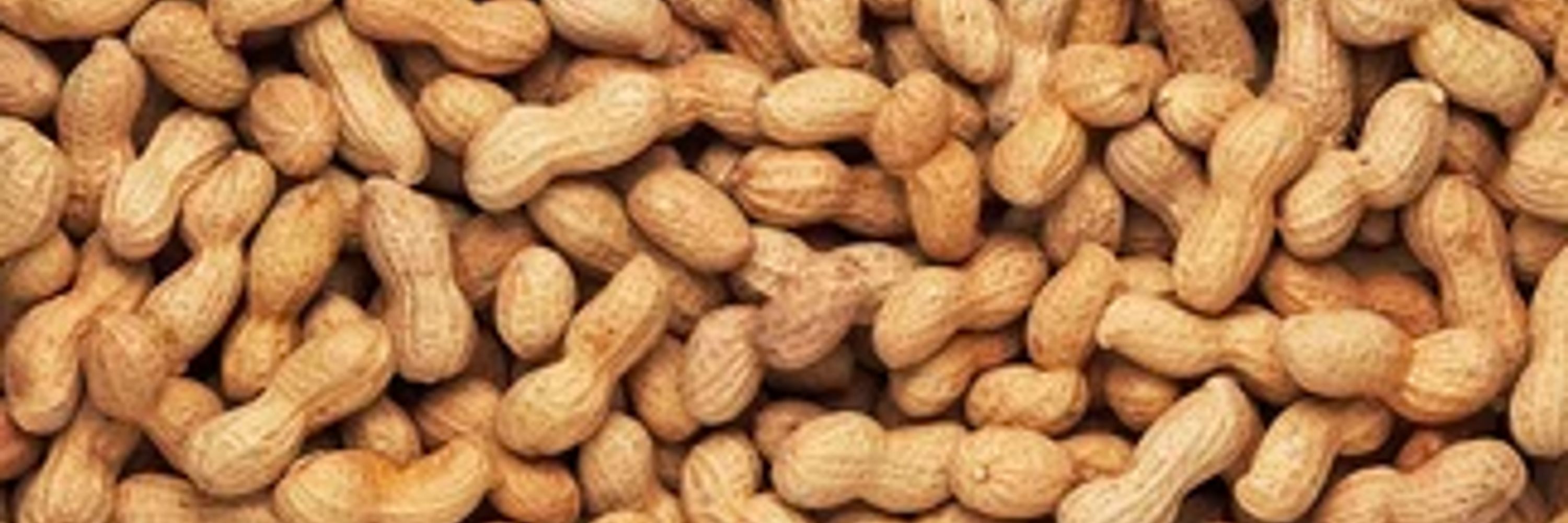 Negativepeanuthoarder