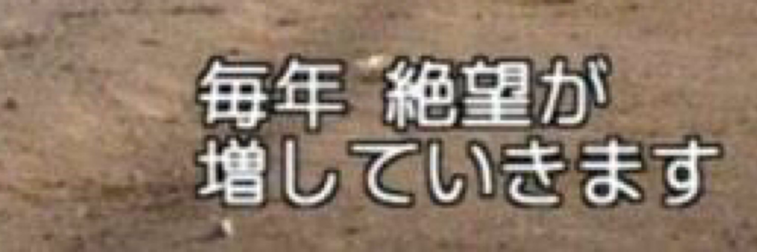 しゃむろく