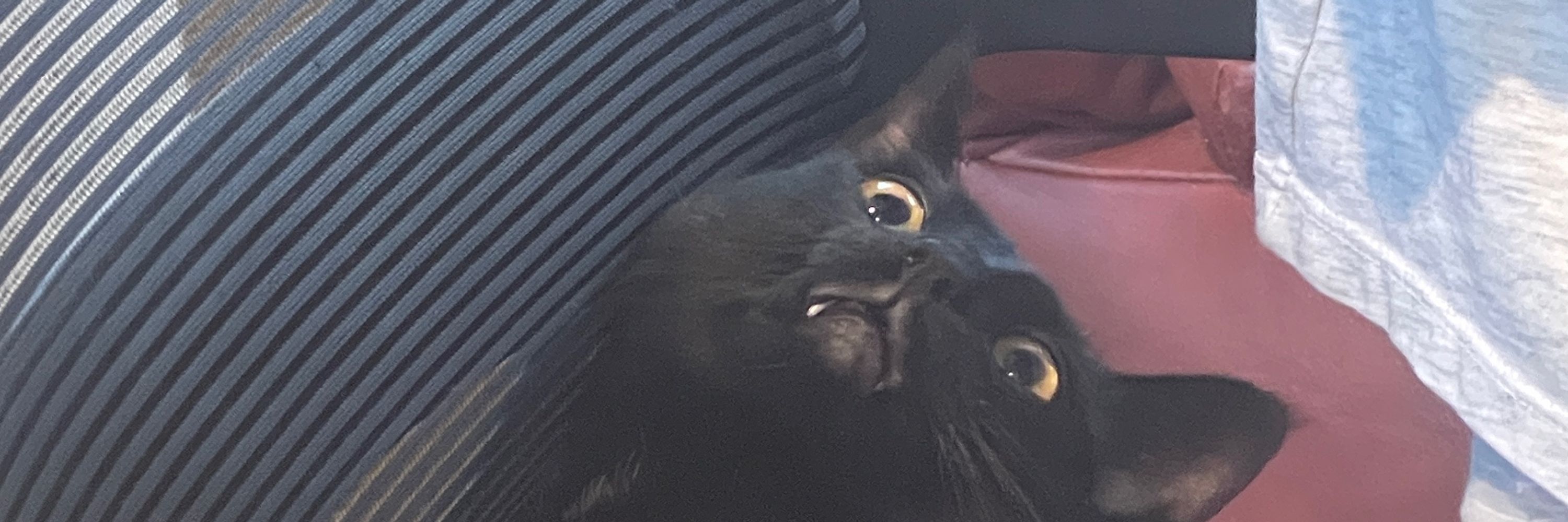 Li