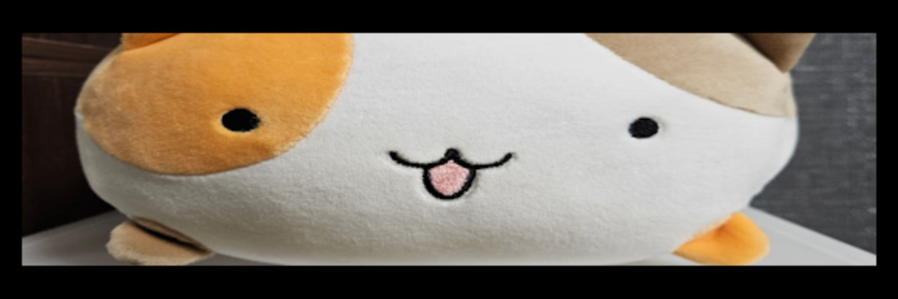 らしお
