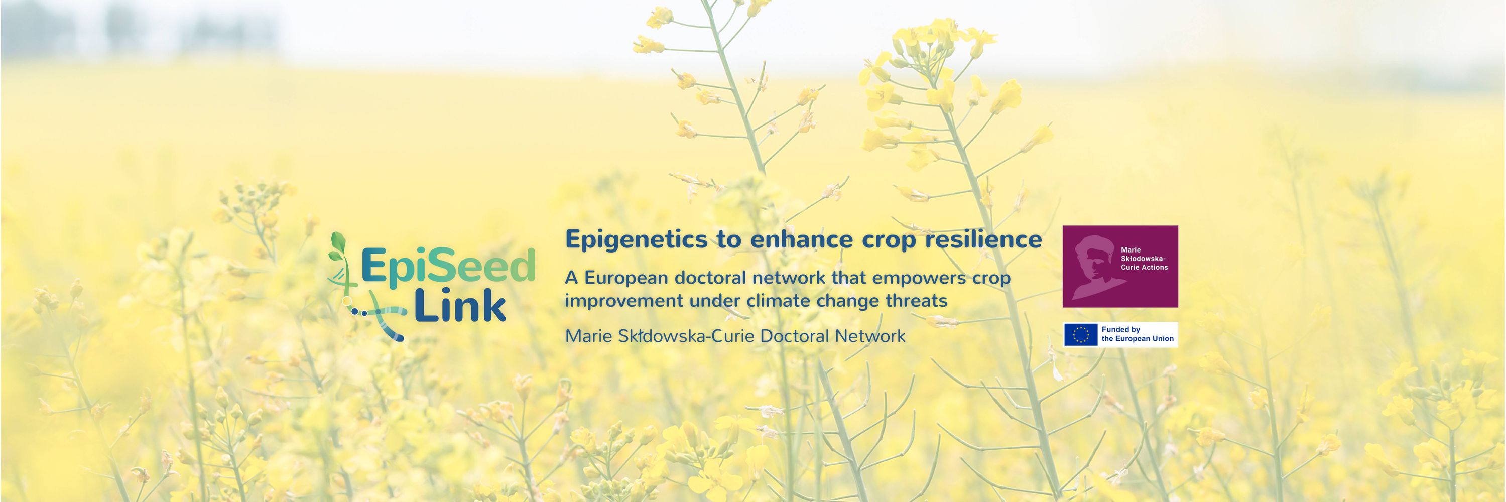 EpiSeedLink