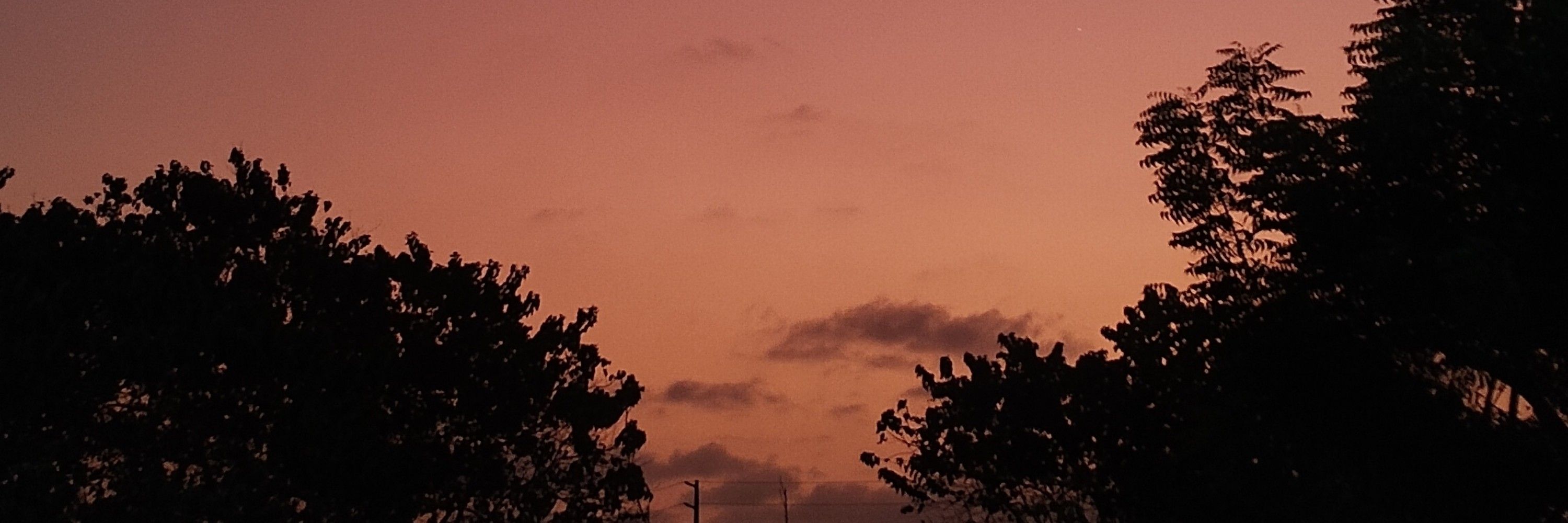 ✧･ﾟ: *✧･ﾟ*:･ﾟ✧