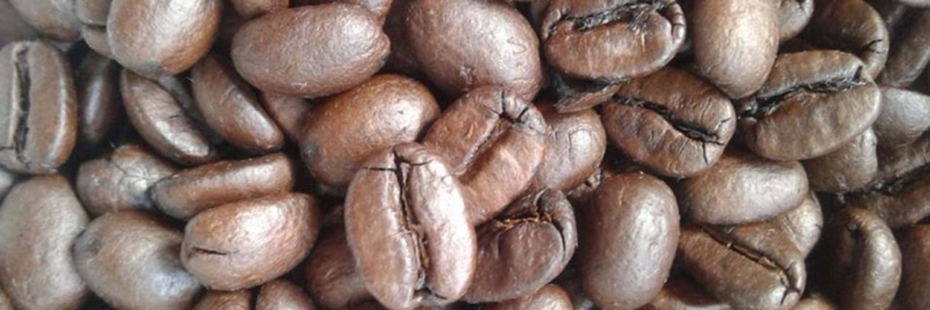 Coffeefiend10